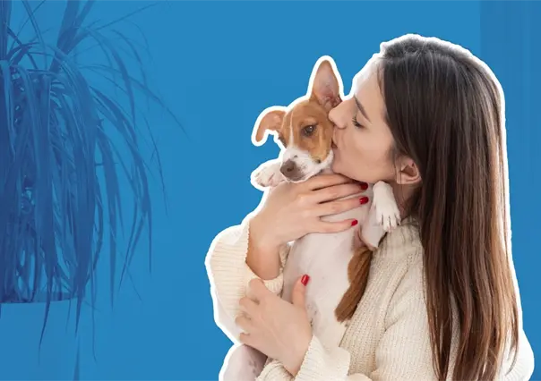 Acude con tu mascota a la Feria de Bienestar Animal organizada por Monterrey