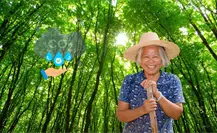¿Qué lugar ocupa Durango en el aprovechamiento de bonos de carbono, según el Gobierno de México?