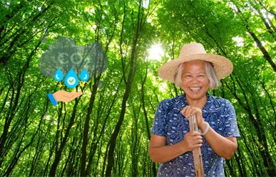 ¿Qué lugar ocupa Durango en el aprovechamiento de bonos de carbono, según el Gobierno de México?