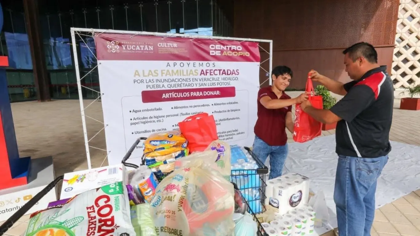 ¿Qué tipo de ayuda se enviará y cómo se organizará el traslado?. Foto: Irving Gil