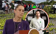 Claudia Sheinbaum pide justica por el asesinato de Bernardo Bravo, líder limonero de Michoacán