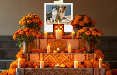 Día de Muertos 2025: ¿Qué debe llevar el altar para nuestras mascotas?