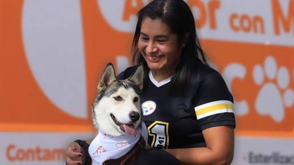 Nuevo reglamento de bienestar animal en Guadalupe ¿qué contempla?