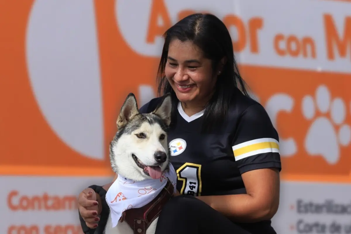 Una persona con un perro. Foto: Composición Canva