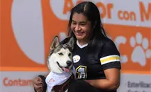 Nuevo reglamento de bienestar animal en Guadalupe ¿qué contempla?