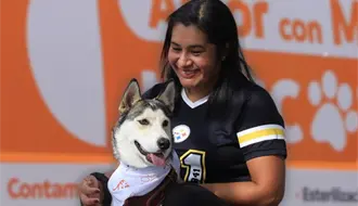 Nuevo reglamento de bienestar animal en Guadalupe ¿qué contempla?