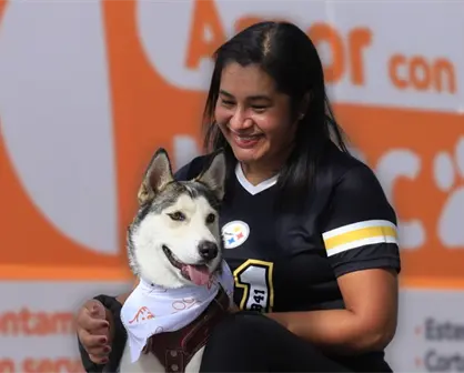 Nuevo reglamento de bienestar animal en Guadalupe ¿qué contempla?