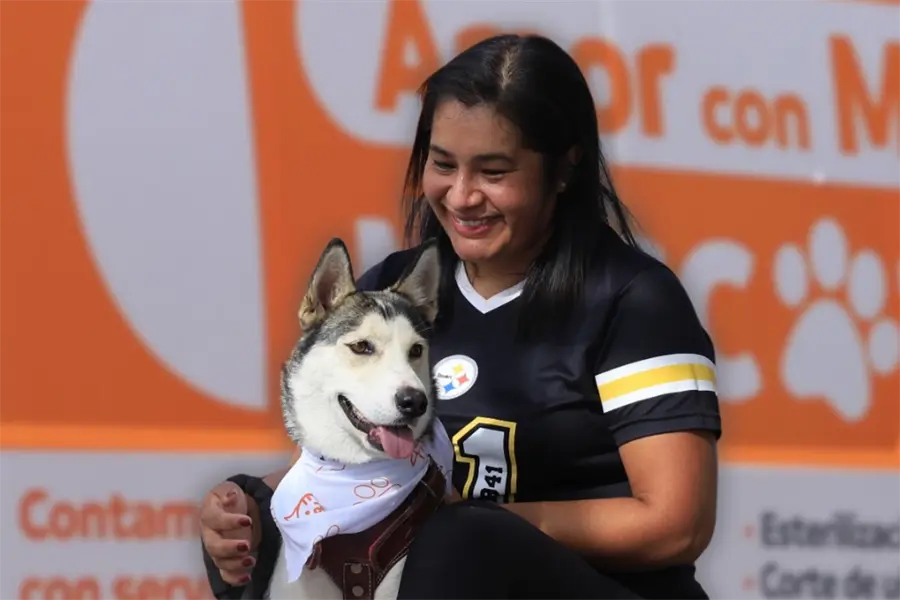 Nuevo reglamento de bienestar animal en Guadalupe ¿qué contempla?