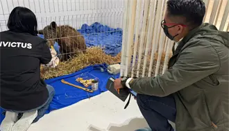 Osa Mina cumple 3 semanas en Invictus y su recuperación sorprende a todos