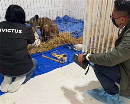 Osa Mina cumple 3 semanas en Invictus y su recuperación sorprende a todos