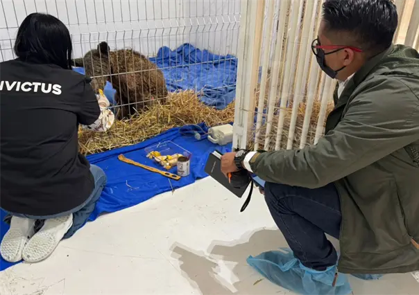 Osa Mina cumple 3 semanas en Invictus y su recuperación sorprende a todos