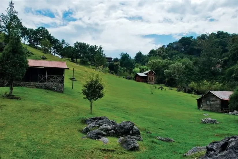 La Reserva de la Biosfera El Cielo, Gómez Farías, Tamaulipas | Foto: secretaría de Turismo