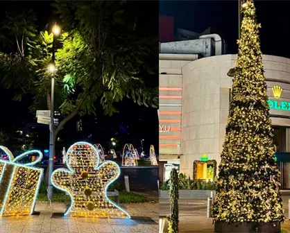 ¿Cuándo será el encendido de Polanco en luces? El evento que marca el inicio de la temporada decembrinas en la Miguel Hidalgo