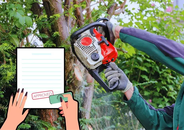 Apodaca impulsa permisos para tala responsable de árboles