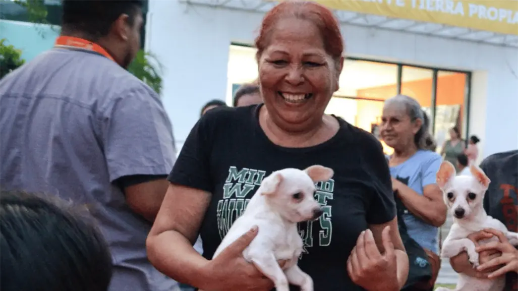 ¿Con qué novedades cuenta el nuevo reglamento de bienestar animal en Guadalupe?
