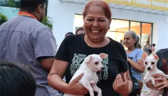 ¿Con qué novedades cuenta el nuevo reglamento de bienestar animal en Guadalupe?