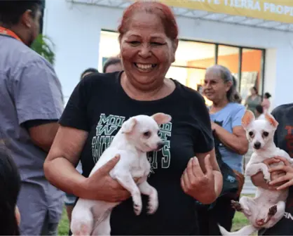 ¿Con qué novedades cuenta el nuevo reglamento de bienestar animal en Guadalupe?