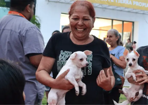 ¿Con qué novedades cuenta el nuevo reglamento de bienestar animal en Guadalupe?