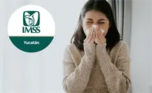 Aumentan los casos de influenza en Yucatán: autoridades piden vacunarse ante el repunte Aumentan los casos de influenza en Yucatán: autoridades piden vacunarse ante el repunte