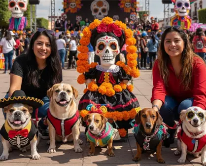 Concurso de disfraces perrunos en Tecámac puede hacer que tu lomito se gane hasta 2 mil pesos