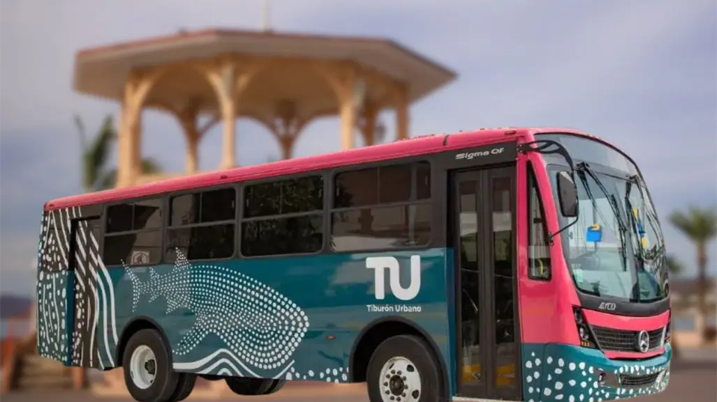 ¿Cuándo comienza a operar el nuevo organismo del Tiburón Urbano en La Paz?