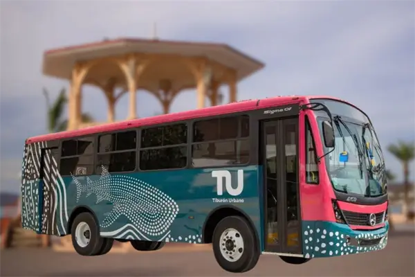 ¿Cuándo comienza a operar el nuevo organismo del Tiburón Urbano en La Paz?