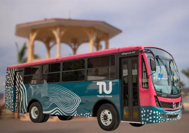 ¿Cuándo comienza a operar el nuevo organismo del Tiburón Urbano en La Paz?
