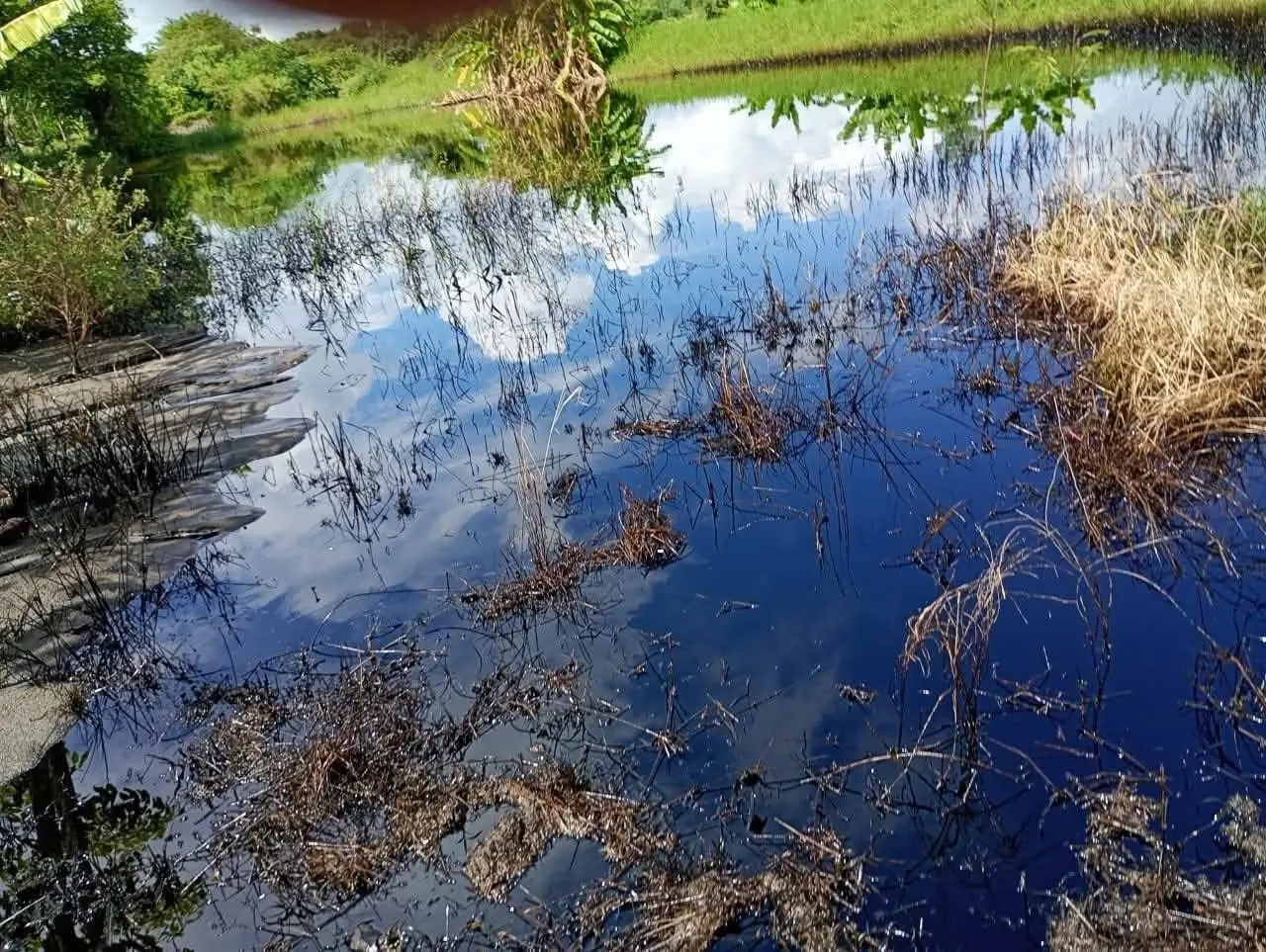 Derrame hidrocarburo Altamira Tamaulipas afecta zonas agrícolas y urbanas