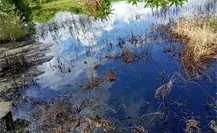 Campesinos y vecinos denuncian derrame de hidrocarburo en Altamira Tamaulipas; esto se sabe