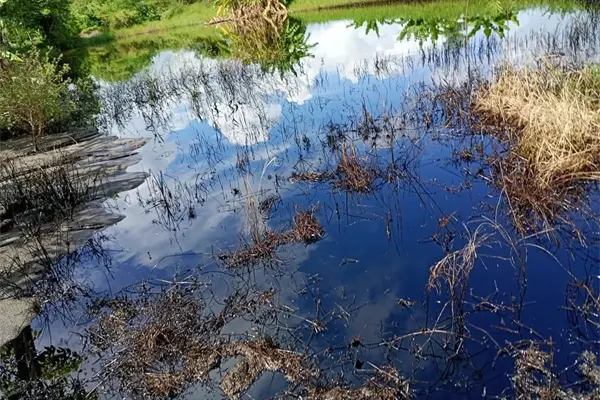 Campesinos y vecinos denuncian derrame de hidrocarburo en Altamira Tamaulipas; esto se sabe