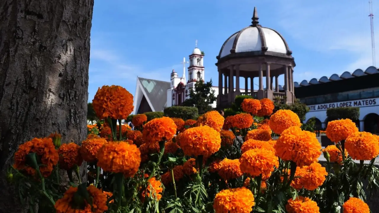 Día de Muertos 2025 en Atlacomulco: cartelera completa de actividades, conciertos, talleres y más. Foto: Atlacomulco / Canva