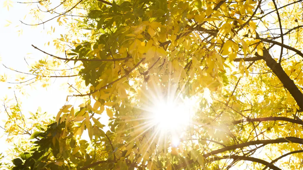 Calor intenso y cielos despejados dominarán Tamaulipas este 23 de octubre