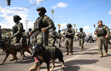 Lo que se sabe del robo de cocaína que involucra a policías estatales en Baja California