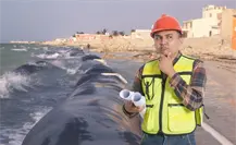 ¿Cómo ayudan a combatir la erosión de las playas los geotubos que instalados en la costa de Progreso?