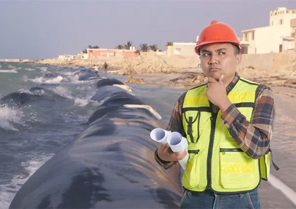¿Cómo ayudan a combatir la erosión de las playas los geotubos que instalados en la costa de Progreso?