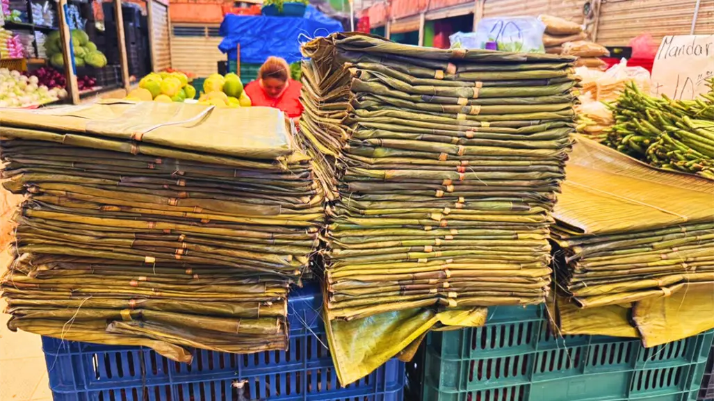 ¿Aumentará el precio de la hoja de plátano para el Janal Pixán en los mercados de Mérida?