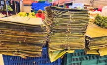 ¿Aumentará el precio de la hoja de plátano para el Janal Pixán en los mercados de Mérida? ¿Aumentará el precio de la hoja de plátano para el Janal Pixán en los mercados de Mérida?