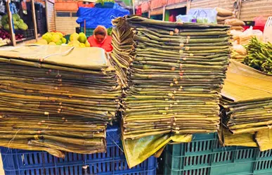 ¿Aumentará el precio de la hoja de plátano para el Janal Pixán en los mercados de Mérida?