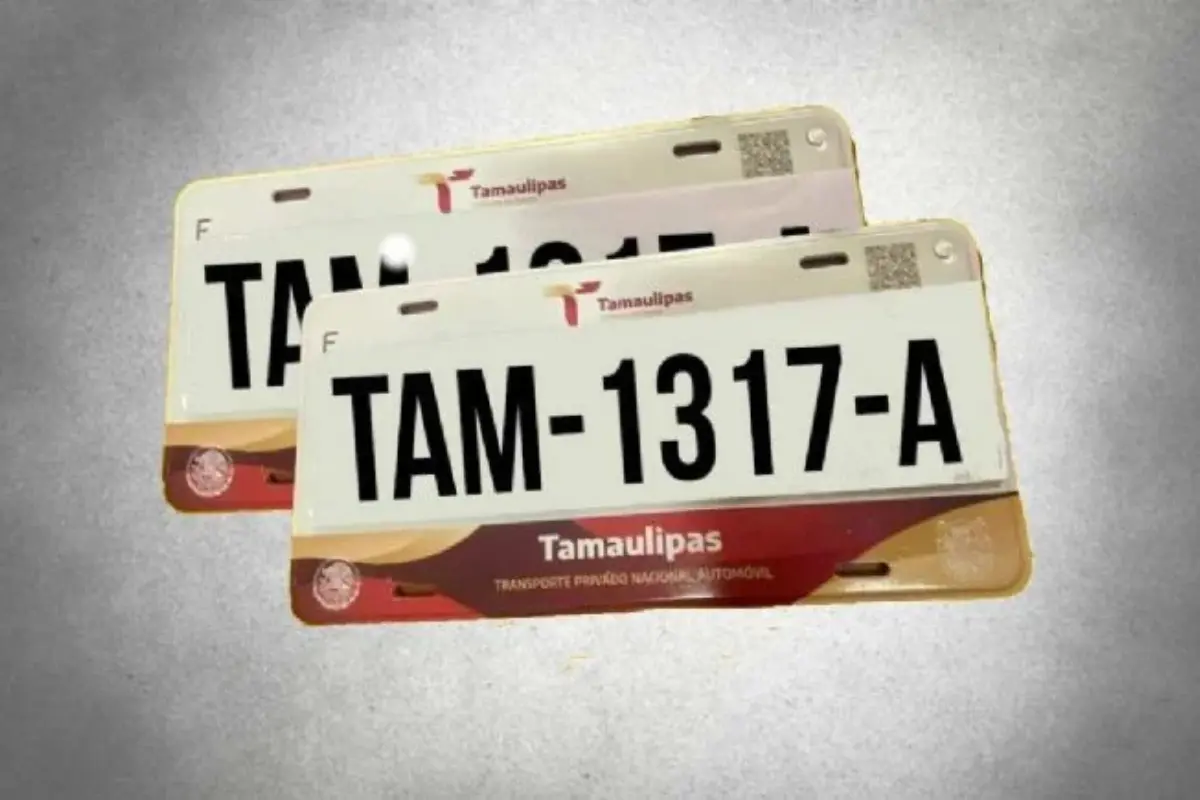 A continuación te explicamos cómo revisar la cifra que debes, qué servicios cubre y cómo pagar de forma sencilla. Foto: Posta Tamaulipas