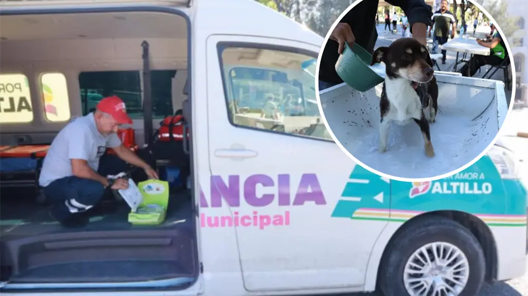 Visita la Ruta por Amor a Saltillo y aprovecha los servicios de salud y para mascotas sin costo