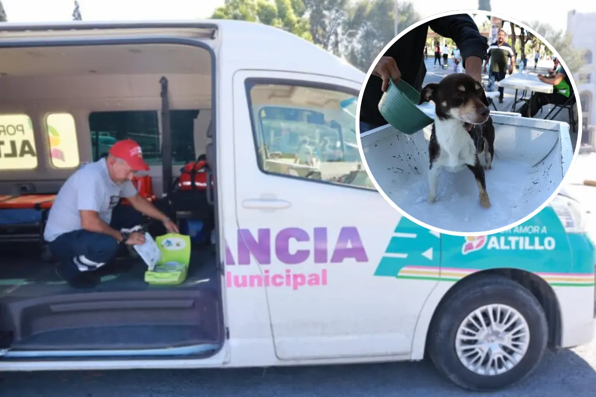 Por su parte, el Gobierno Municipal instalará un módulo de credencialización del programa Aquí Vamos Gratis, dirigido a facilitar el transporte público a estudiantes y adultos mayores./Foto: Cortesía