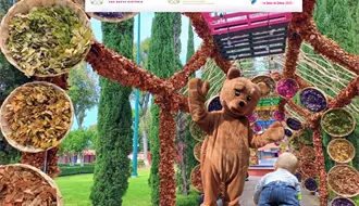 Tlaxcala, la Feria de Ferias 2025: gana hasta 5 mil pesos en estos 3 concursos