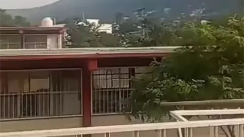 VIDEO | Alumnos de primaria viven momentos de tensión durante balacera en la colonia CROC de Monterrey