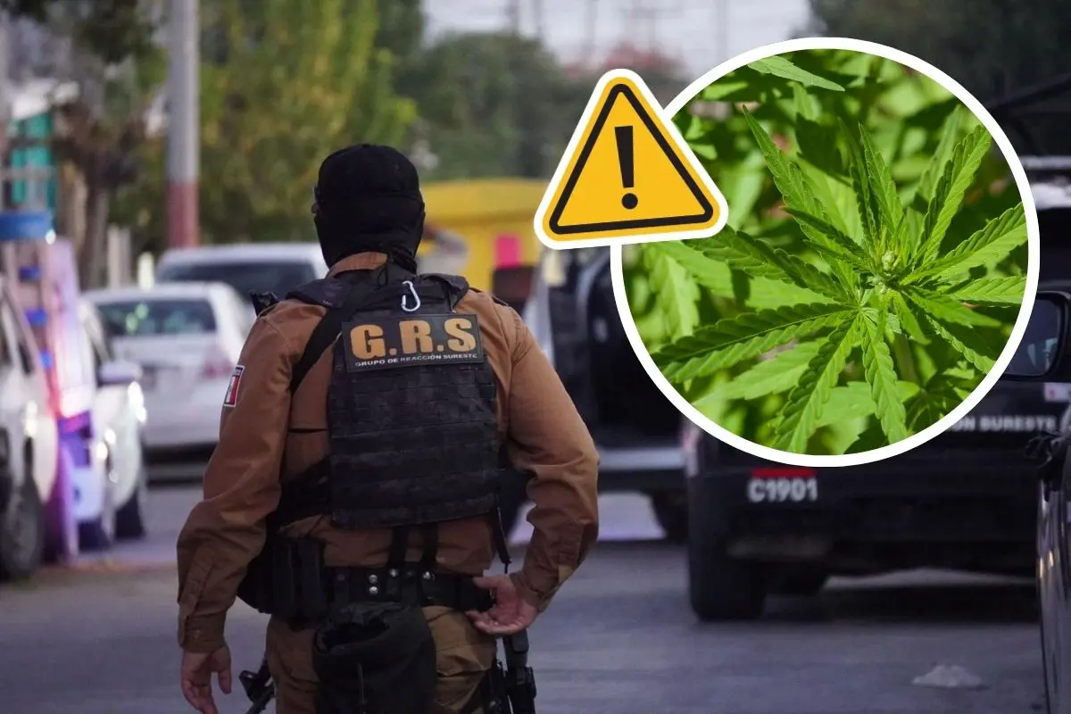 Realizan cateo y detención en colonia Satélite Saltillo / Foto: Comisaría de Seguridad y Protección Ciudadana | Canva