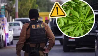Cateo en colonia Satélite de Saltillo deja decomiso de marihuana y una persona detenida