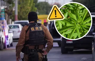 Cateo en colonia Satélite de Saltillo deja decomiso de marihuana y una persona detenida