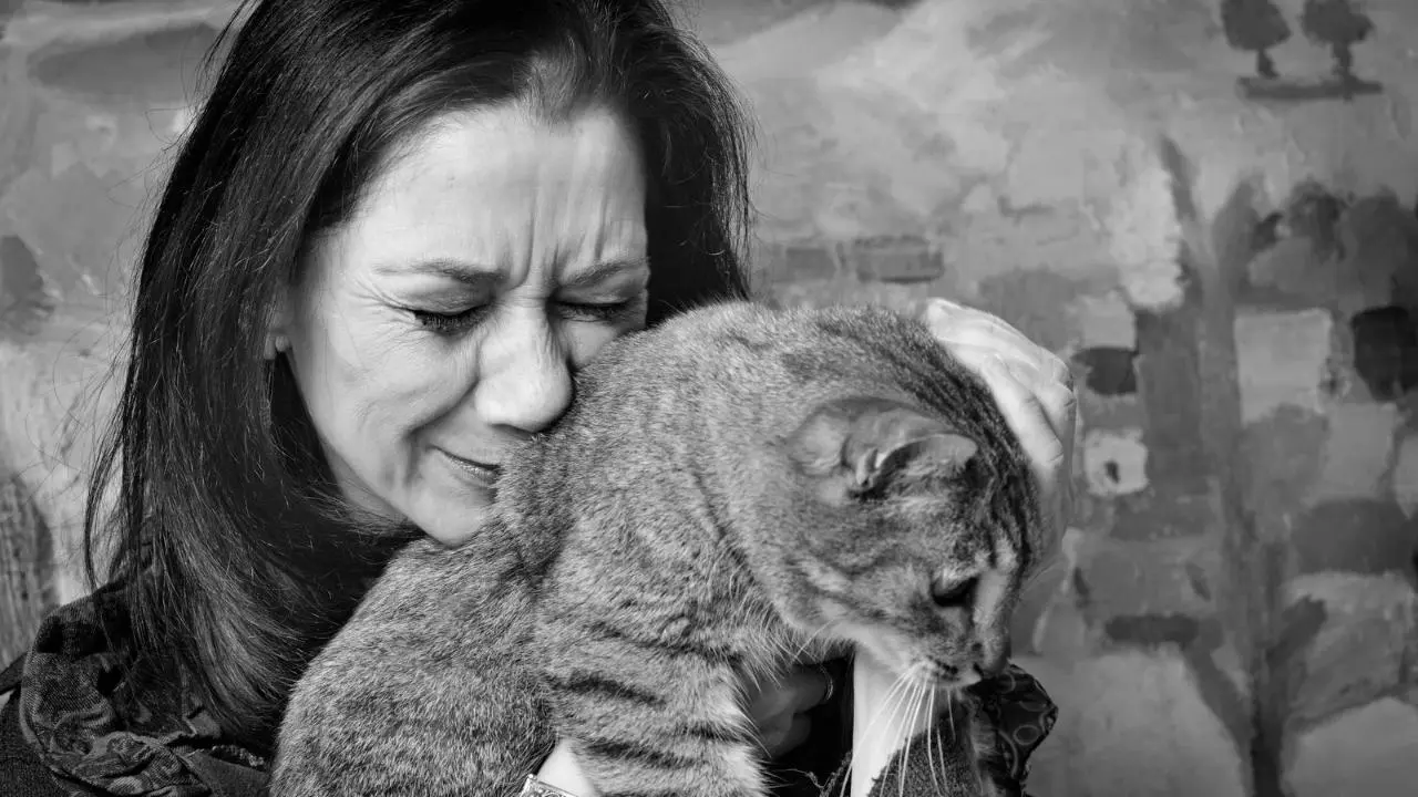 Congreso de Edomex busca regular animales de terapia y de servicio. Foto: Canva