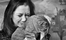Congreso de Edomex analiza regular animales de terapia y servicio para garantizar su acceso a establecimientos Congreso de Edomex analiza regular animales de terapia y servicio para garantizar su acceso a establecimientos