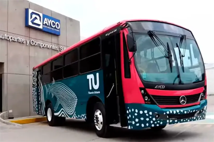 Foto: Tiburón Urbano