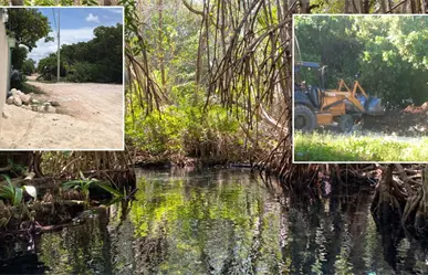 Nuevo caso de ecocidio en Sisal: denuncian destrucción de manglares y relleno ilegal de terrenos